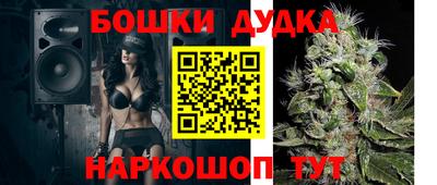 МДПВ Дубна