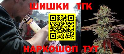 МДПВ Дубна